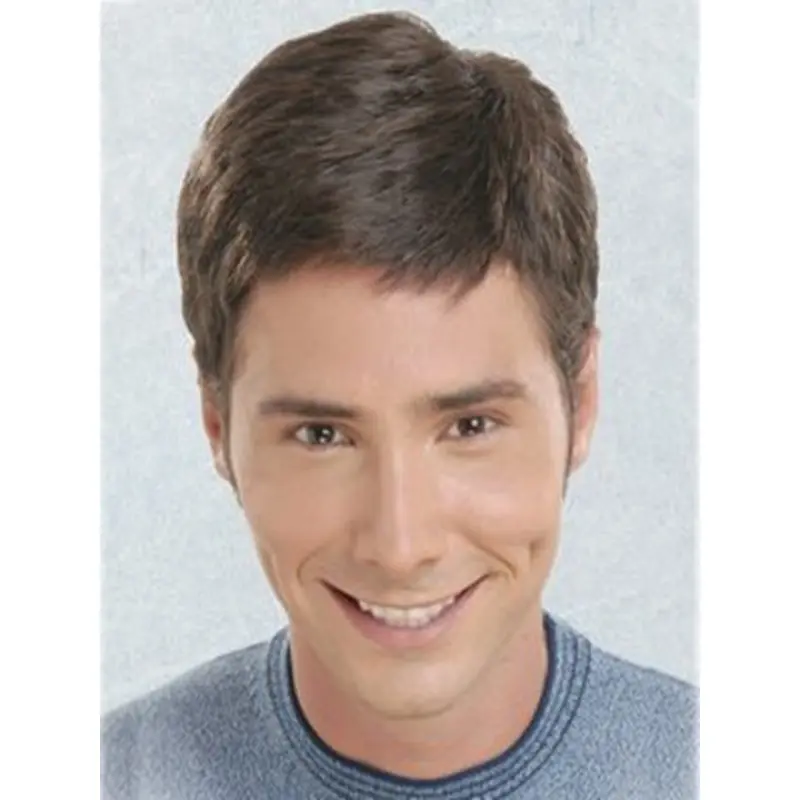Mature Brown Straight Short Men Wigs