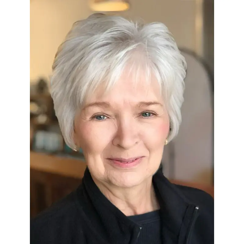 Short Monofilament 6" Grey Wigs Bobs