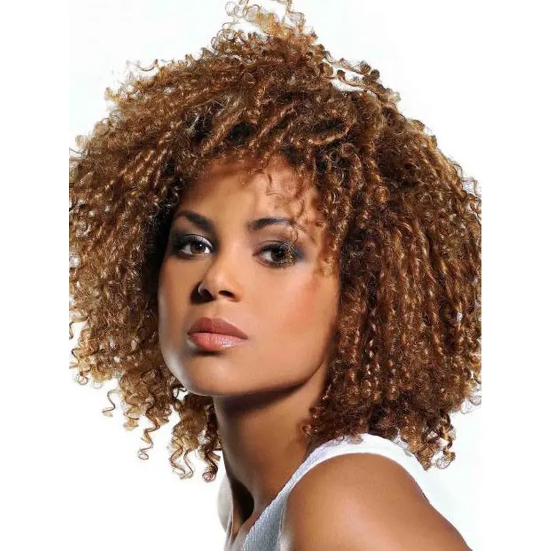 Excellent Mid-length Kinky Curly Lace Front Human Hair Wig 14 Inches
