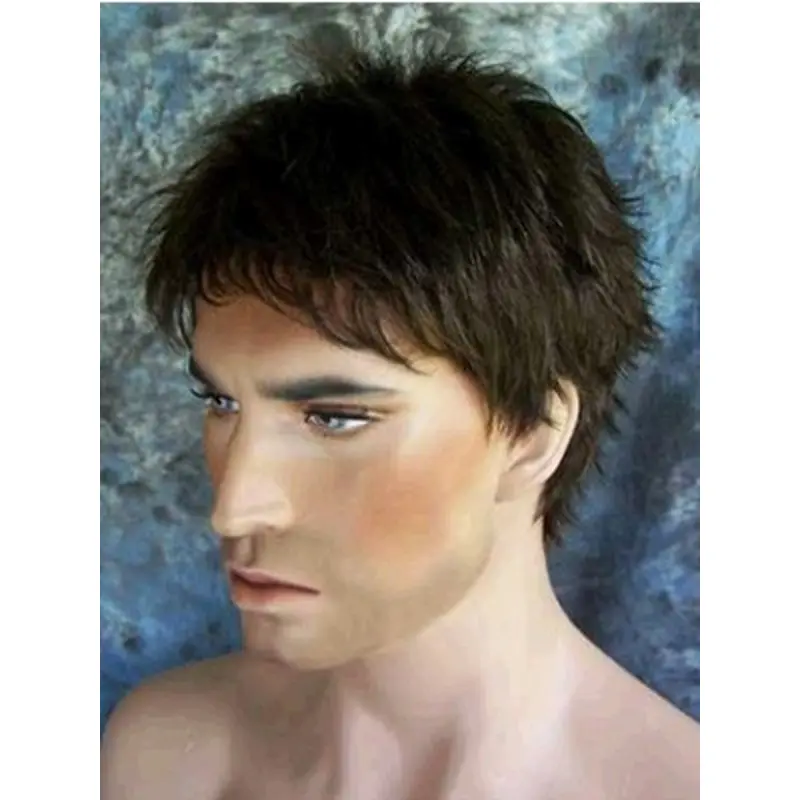 Elegant Black Straight Short Men Wigs