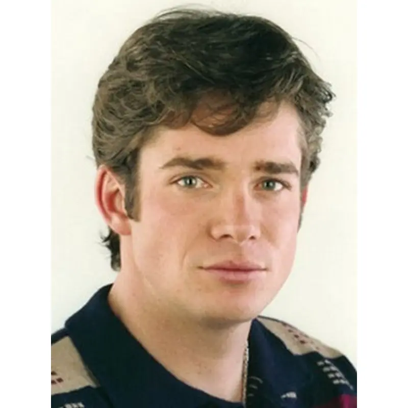 Comfortable Brown Straight Short Men Wigs
