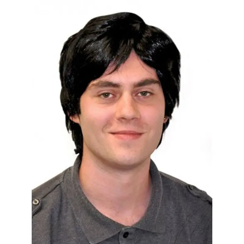 Easeful Black Straight Short Men Wigs