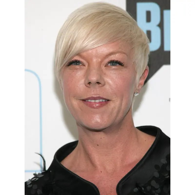 Short Straight Capless Remy Human Hair Grey Wigs hfnb112