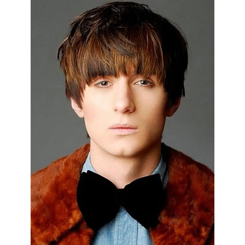 Affordable Brown Straight Short Men Wigs