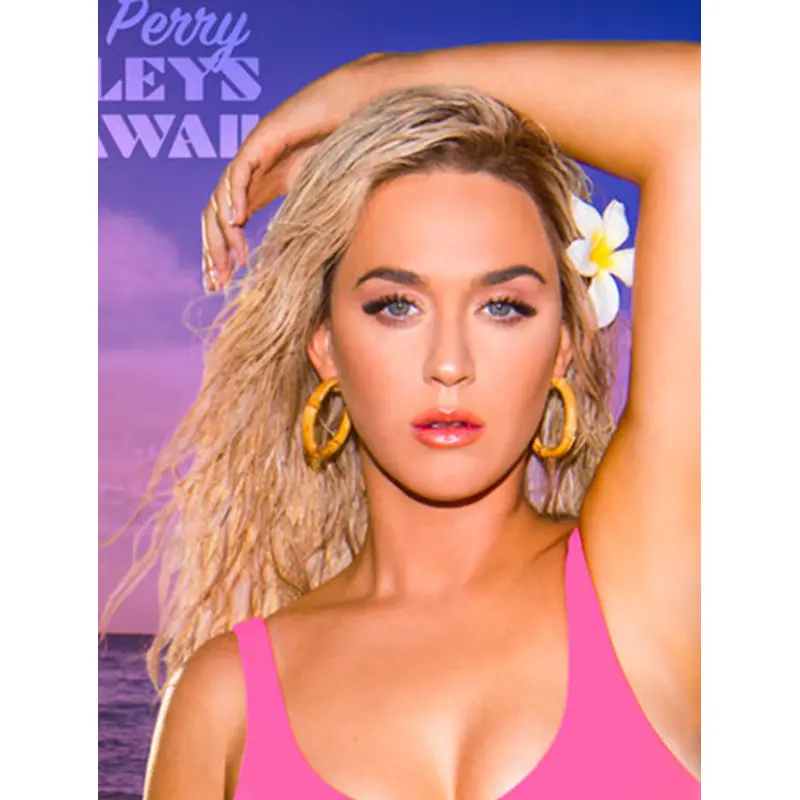 Wavy Grey Lace Front Long Without Bangs Katy Perry Wigs