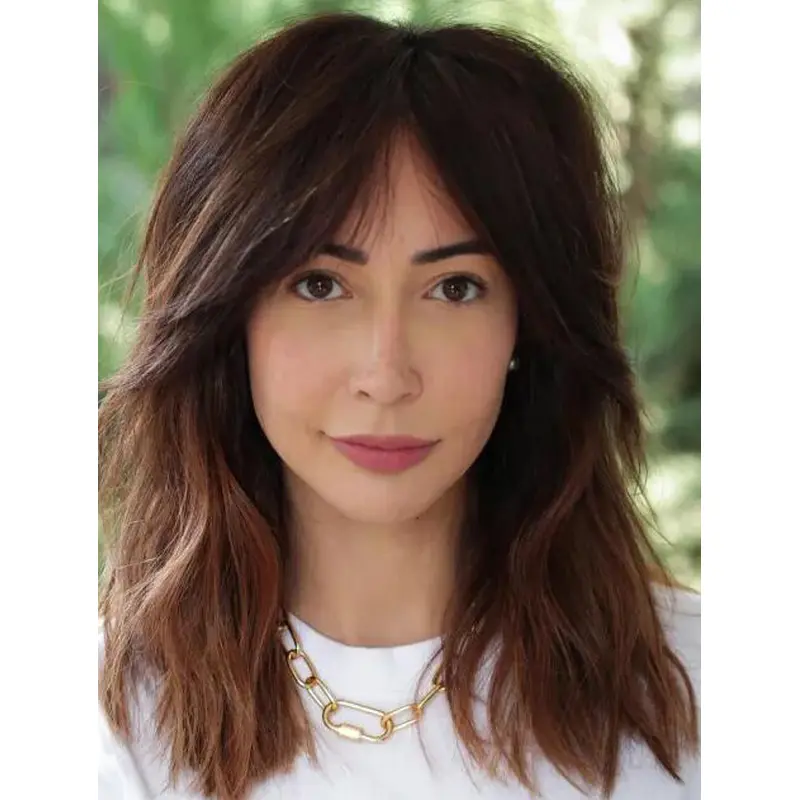 Layered Lace Wig Shoulder Length Brown Wavy Synthetic Bouncy Shag Wigs