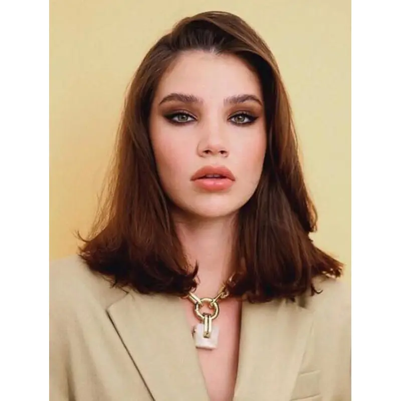 Brown Wig Without Bangs Straight Wigs Synthetic Shoulder Length Lace Front Wigs