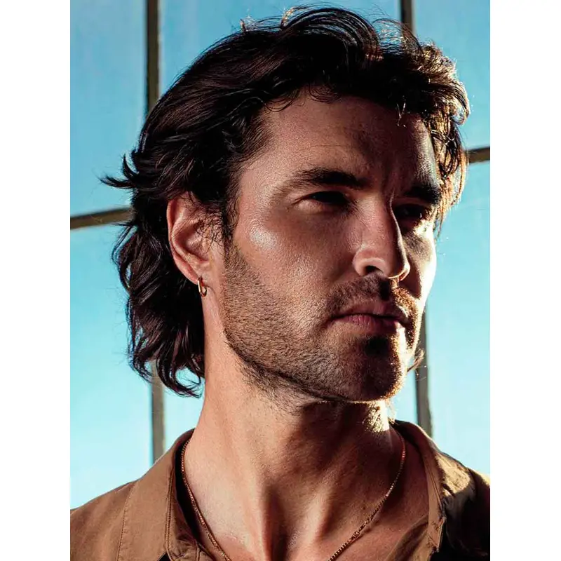 Mens Wigs Lace Front With Bangs Brown Wavy 6" Wigs