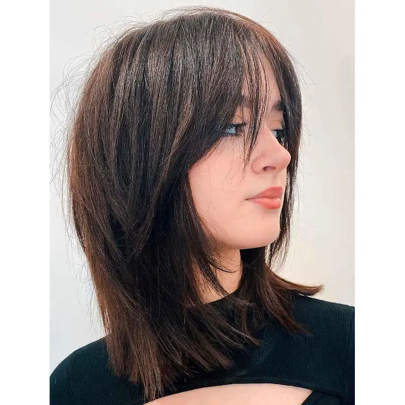 Lace Wigs Synthetic Suitable With Bangs Wigs Straight Lace Front Brown Wigs