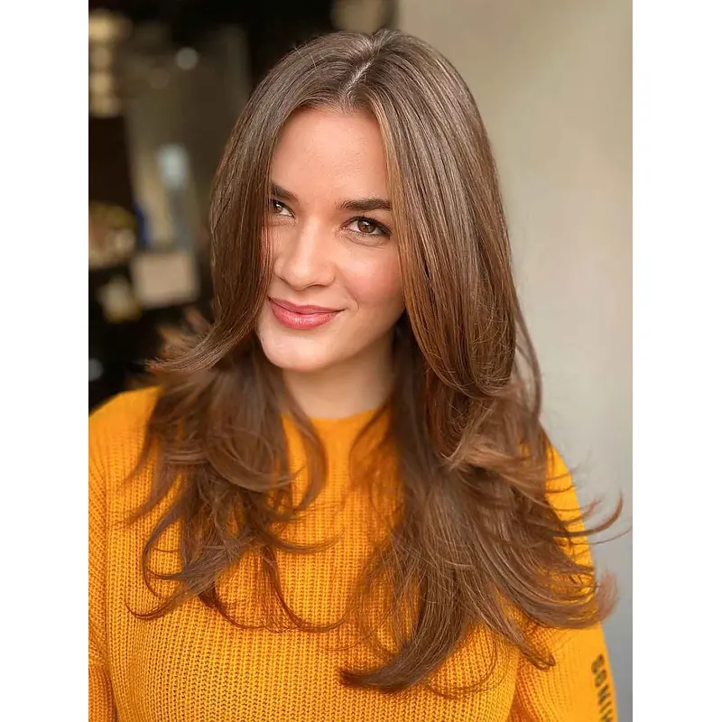 Wigs Long Hair Brown Lace Front Layered Wig Synthetic Ceter Part Wigs