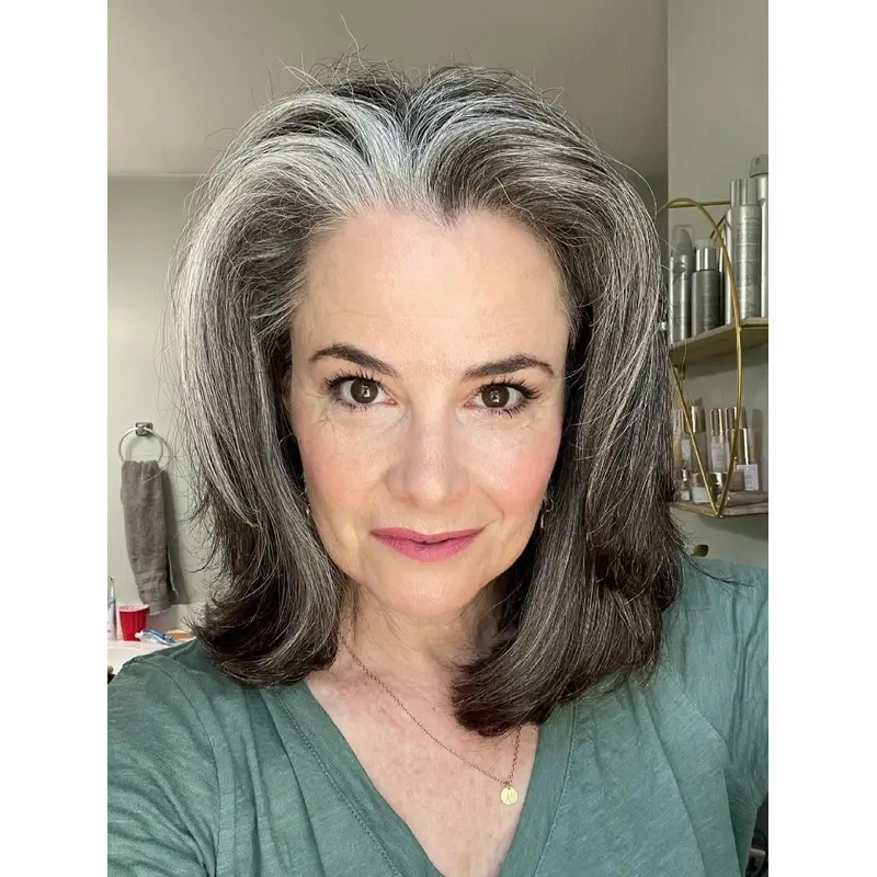 Medium Length Gray Wigs Synthetic Without Bangs Wigs Straight Lace Wigs