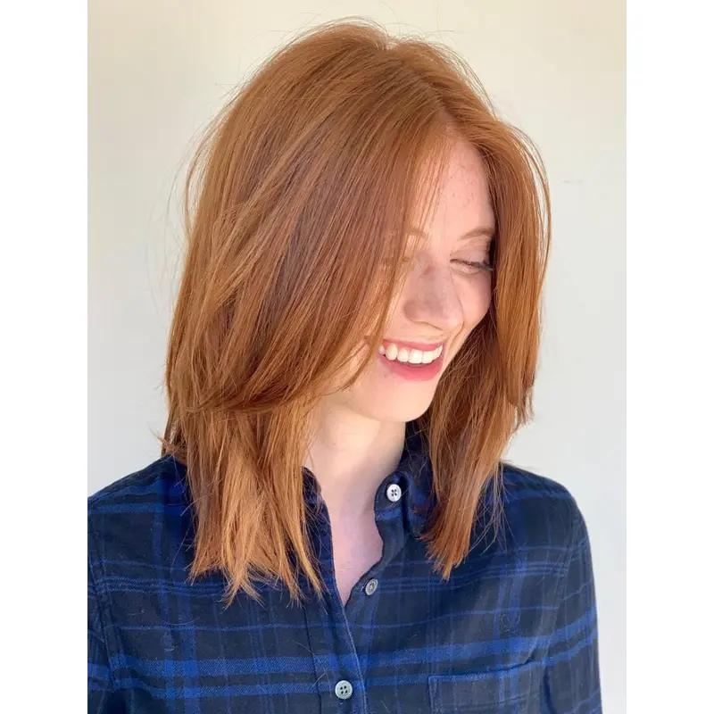 Wigs Shoulder Length Lace Front Straight Wigs Layered Synthetic Wigs