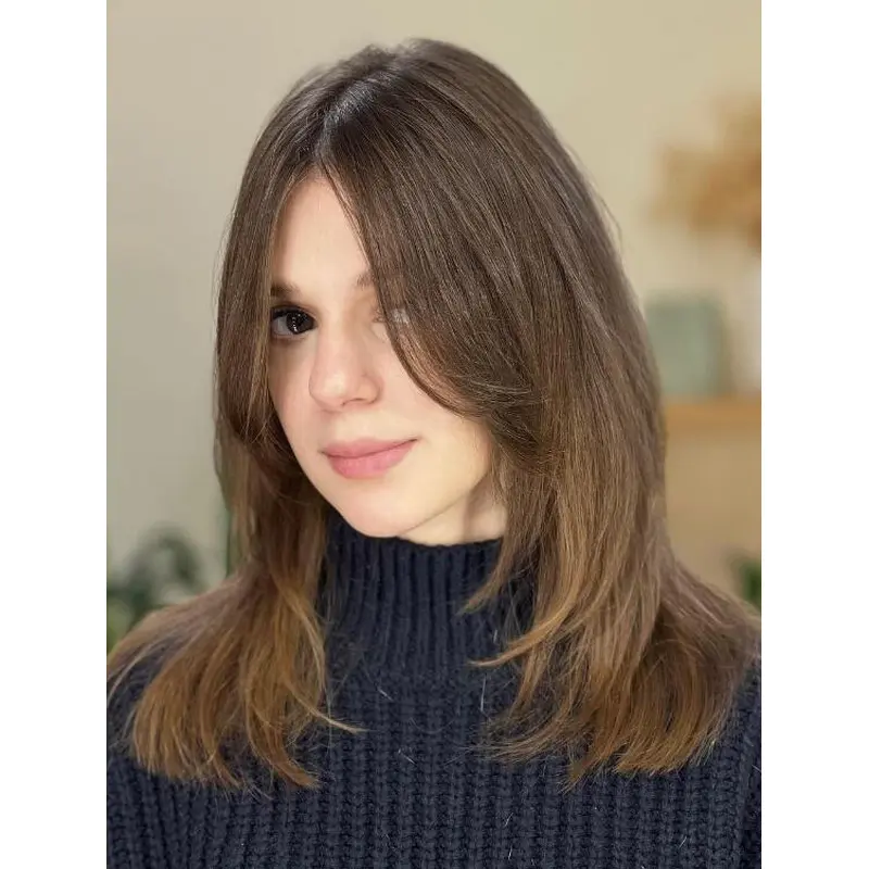 Lace Front Wigs Brown Synthetic Wigs Layered Straight Wigs