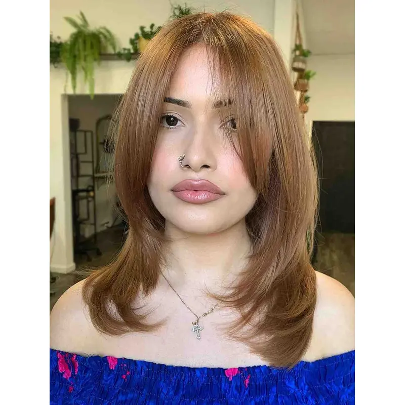 Wigs For Women Straight Lace Wigs Synthetic Shoulder Length Wigs