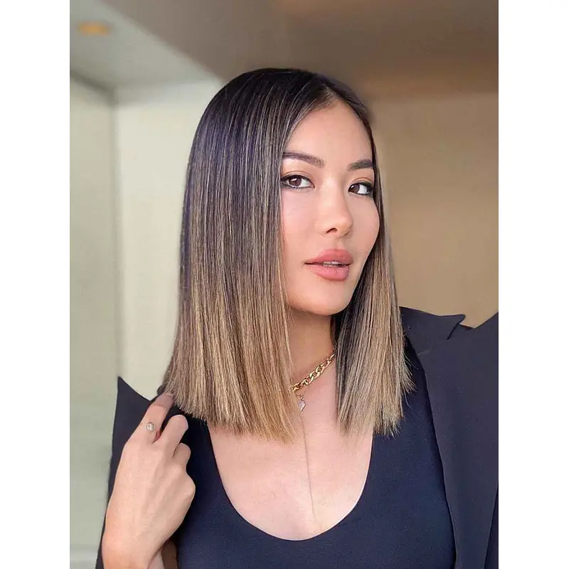 Lace Front Wigs Shoulder Length Straight Wigs Bobs Synthetic Wigs