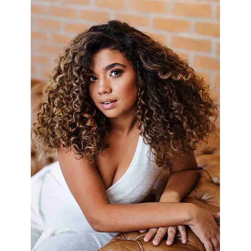 Curly Wigs For Black Women Lace Front Brown Wigs Without Bangs Synthetic Wigs
