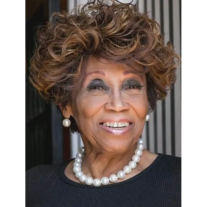 Curly African American Wigs Lace Front Wigs Without Bangs Synthetic Wigs
