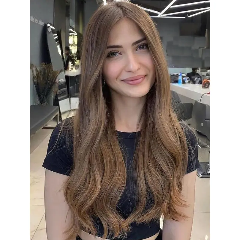 Long Brown Wigs Lace Front Wavy Wigs Without Bangs Synthetic Hair Wigs