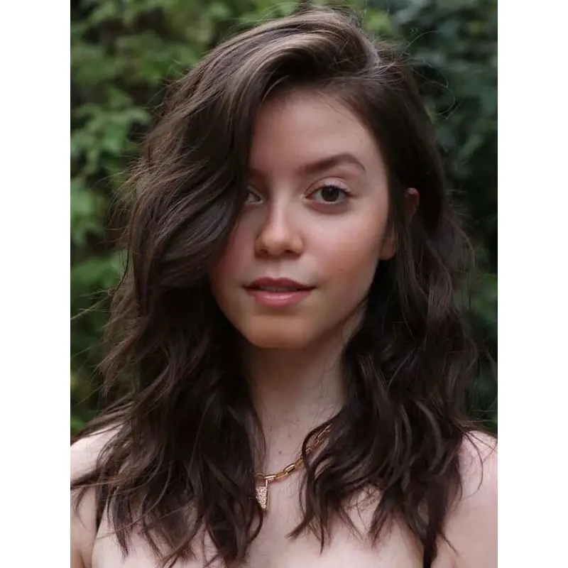 Long Brown Wigs Wavy Synthetic Lace Wigs Without Bangs Long Hair Wigs