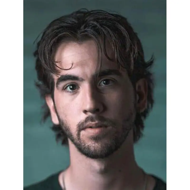 Wavy Capless Remy Human Hair Brown Short Good Curtains Men Wigs