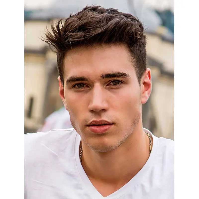 Short Straight Monofilament Brown Synthetic Layered Men Wigs