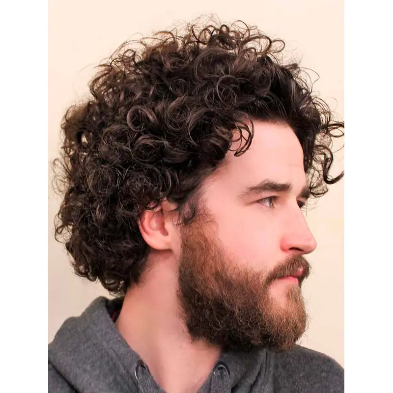 Brown Monofilament Short Synthetic Voluminous Tight Curls Men Wigs
