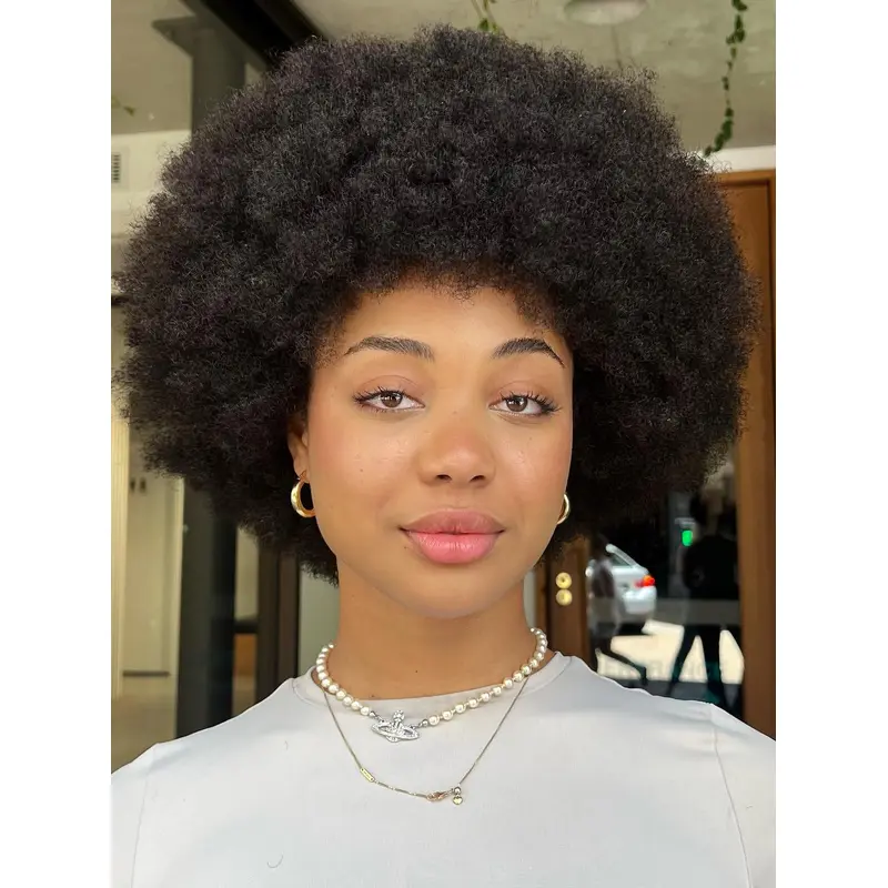 African American Human Hair Wigs Black Kinky Layered Wigs