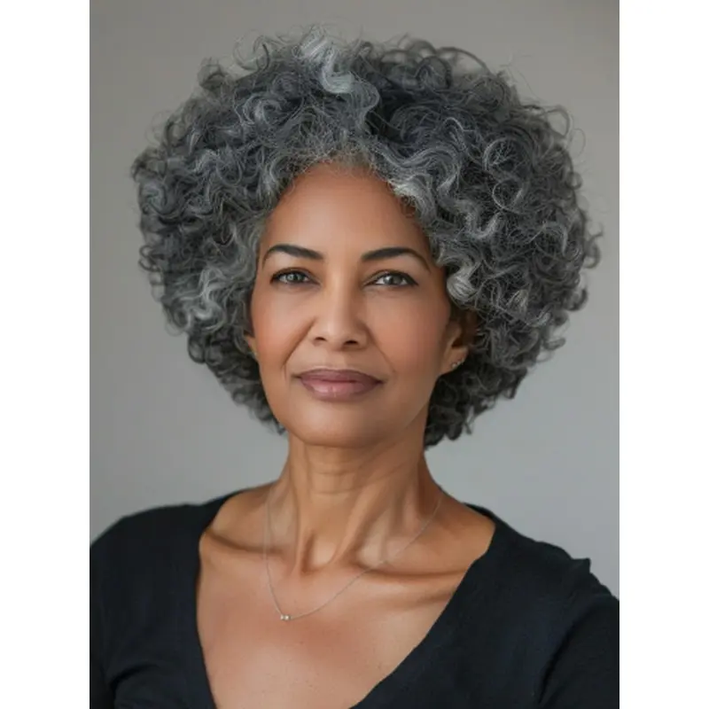 Short Hair Wigs For African American Lace Front Salt and Pepper Wigs