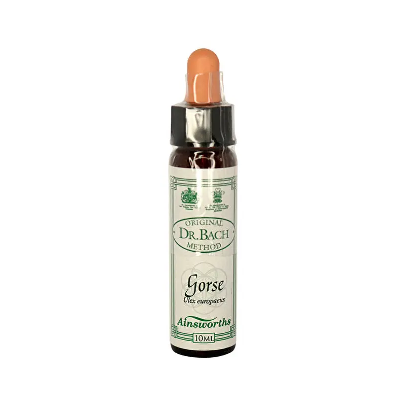 Martin & Pleasance Ainsworths Ainsworths Original Dr. Bach Method Flower Essence Gorse 10ml