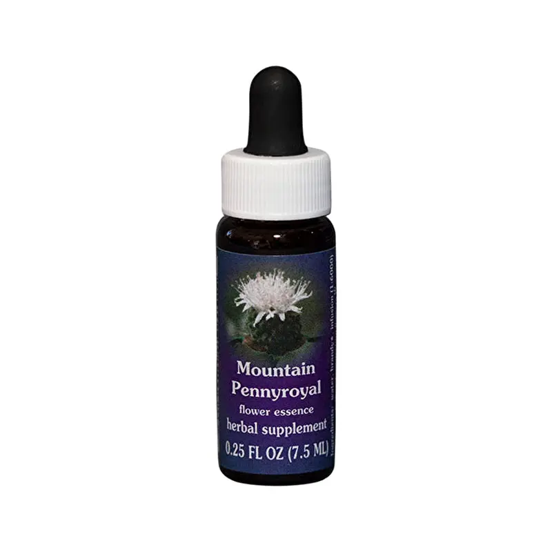 Fes Flower Essences FES Quintessentials Mountain Pennyroyal 7.5ml